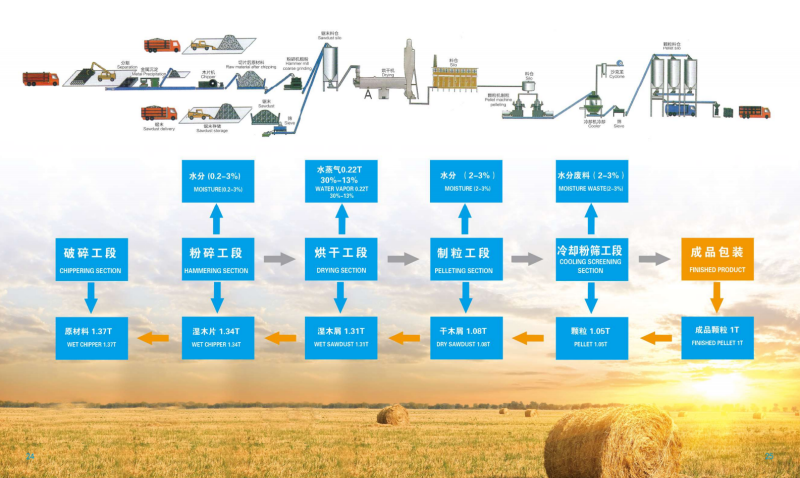 壹号娱乐宣传册_13 - 副本.png